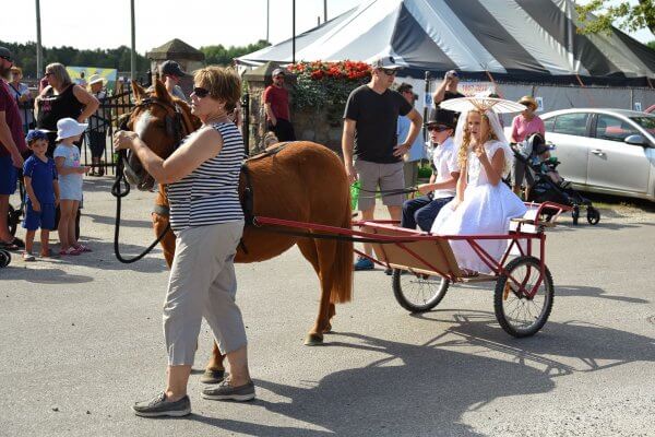 Best Dressed Horse/Pony and Ambassador's Choice